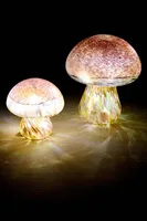 Iridescent Mushroom Light