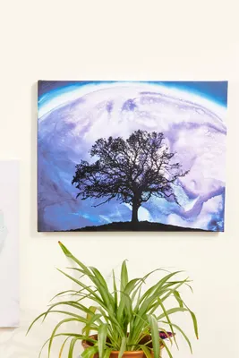 Moon Tree Canvas Wall Art
