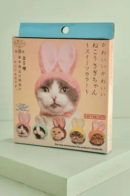 Rabbit Cat Cap Mystery Box