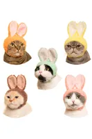 Rabbit Cat Cap Mystery Box