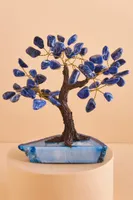 Sodalite Gem Tree