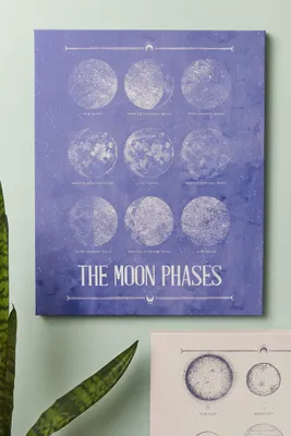 Moon Phases Canvas Wall Art
