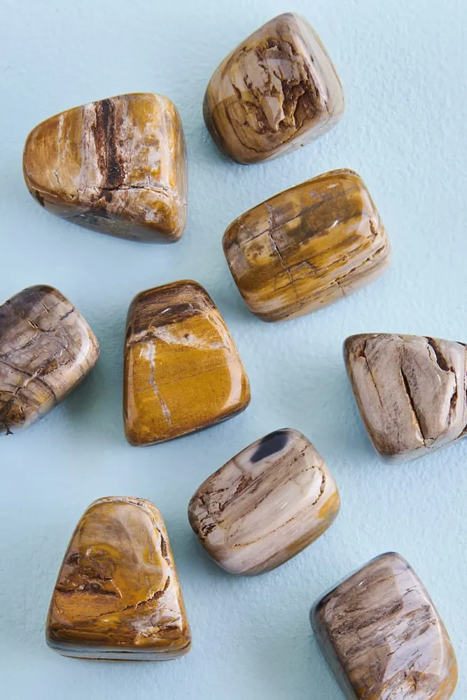 Petrified Wood Tumbled Stone