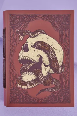 Skull and Snake Small Leather Journal (EB Exclusive)