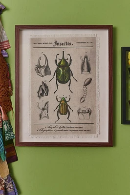 Beetles Framed Wall Art