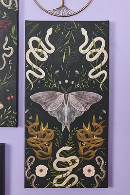 White Moth Canvas Wall Art