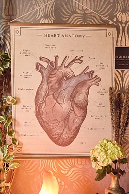 Anatomical Heart Wall Art Banner