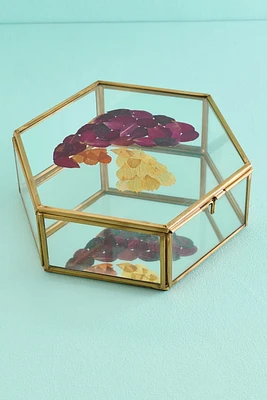 Mushroom Flowerpress Glass Keepsake Box