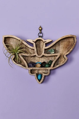 Moth Wood Shelf