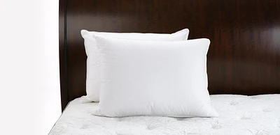 Hypoallergenic Down-Alternative Pillow