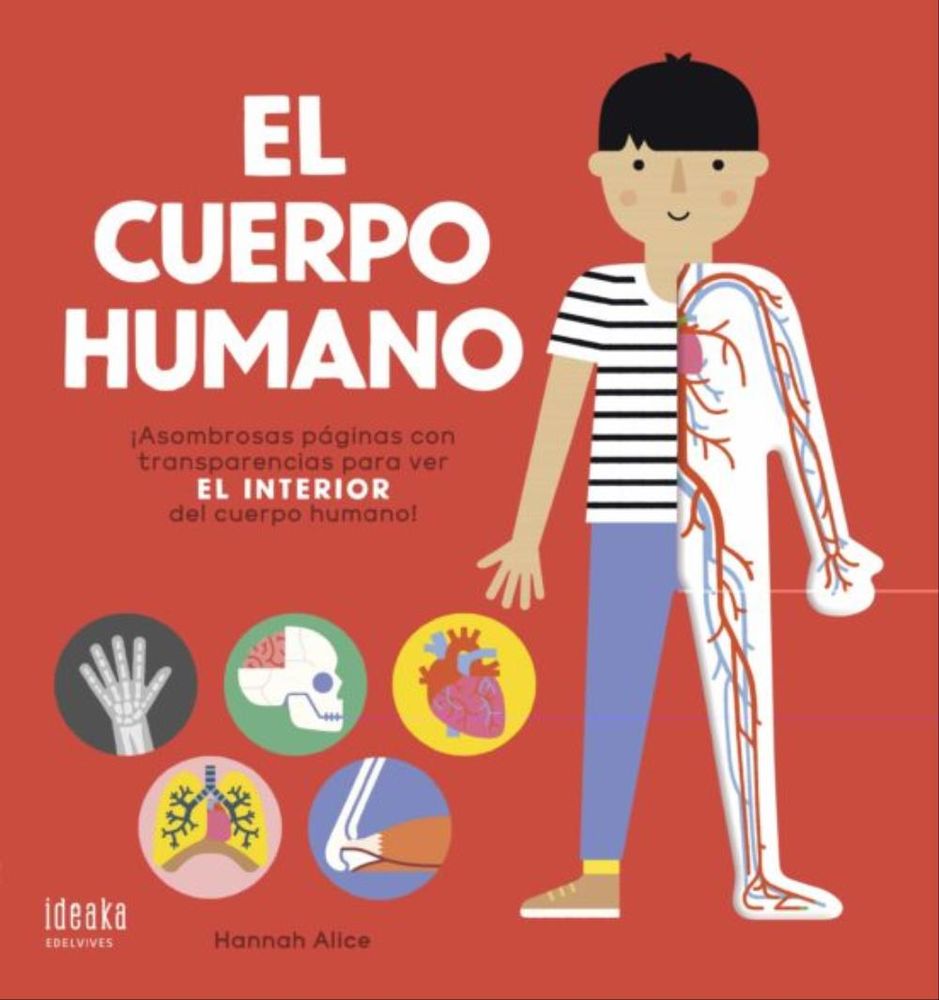 EL CUERPO HUMANO