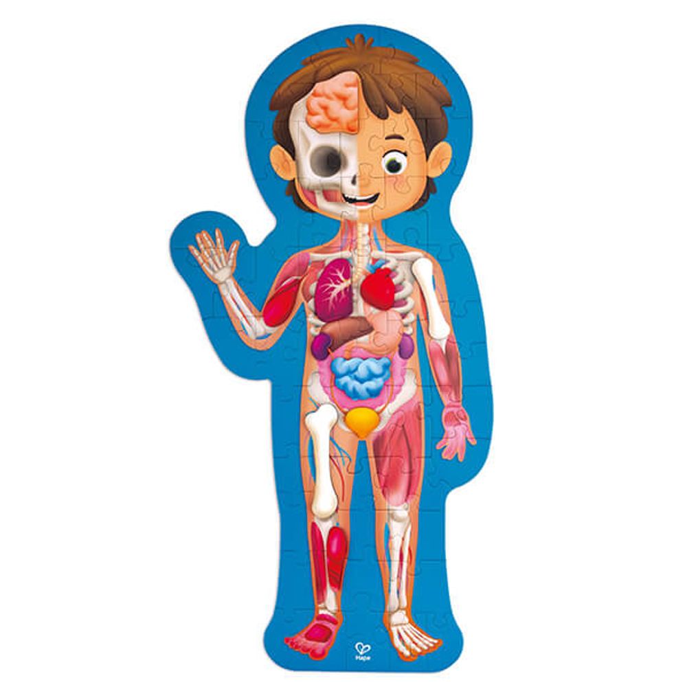 Puzle del cuerpo humano