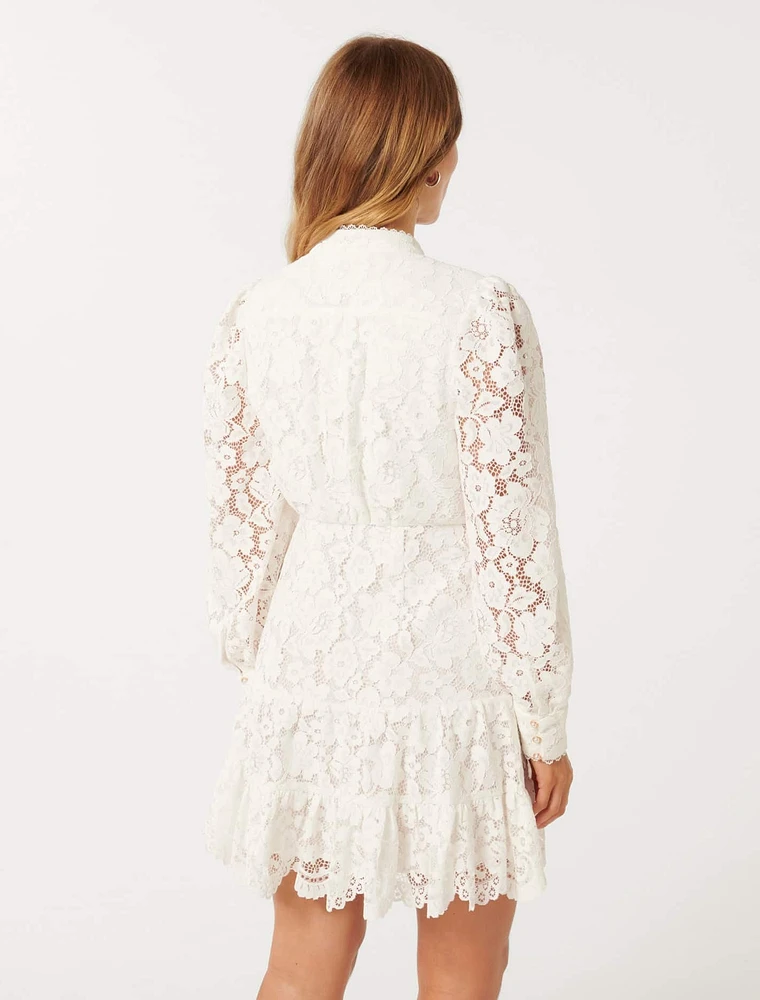 Evie Petite Lace Mini Dress White - 0 to 12 Women's Dresses