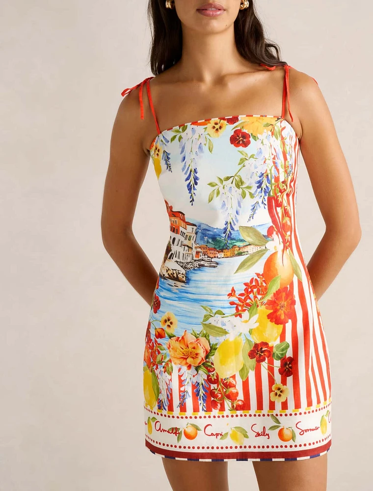 Sierra Printed Mini Dress