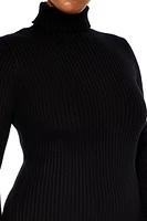 Plus Turtleneck Mini Sweater Dress