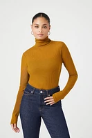 Sheer Ribbed Knit Turtleneck Top