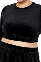 Plus Velour Crop Top