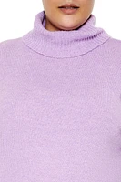 Plus Turtleneck Sweater