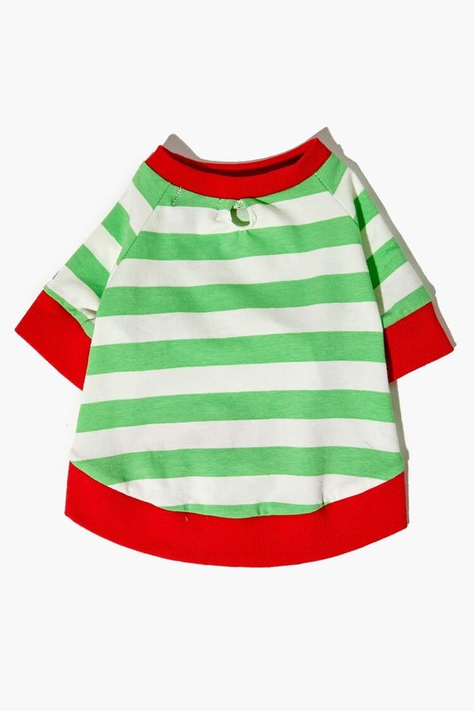 Striped Pet Sweater in Green/White, XS/S