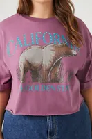 Women's California Graphic Cropped T-Shirt in Purple, 3X