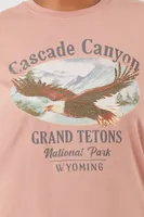 Women's Cascade Canyon T-Shirt in Rust, 1X