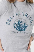 Women's Breckenridge Mock Neck Top in Heather Grey Small