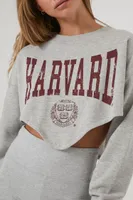 Women's Harvard Graphic Pullover in Heather Grey Small