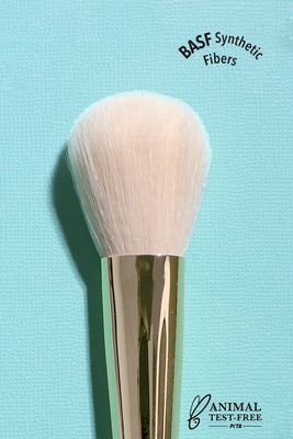 MOIRA Eye & Face Essential Collection Brush (107 Tapered Blush Brush) in Pink