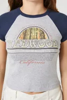 Women's Redwood Graphic Raglan T-Shirt in Heather Grey Large