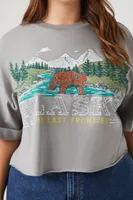 Women's Alaska Graphic Cropped T-Shirt in Grey, 0X