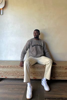 Men Distressed Wildlife Graphic Sweater