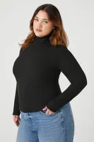 Women's Ribbed Turtleneck Top in Black, 1X