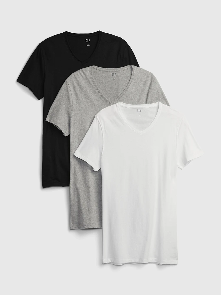 Classic V-Neck T-Shirt (2-Pack