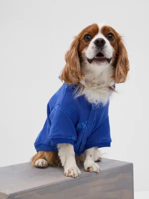 Gap Logo Pet Hoodie