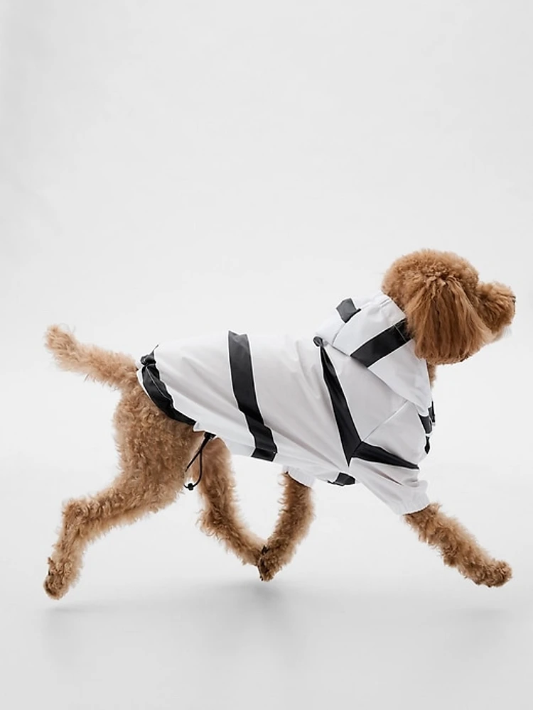 Pet Rain Jacket