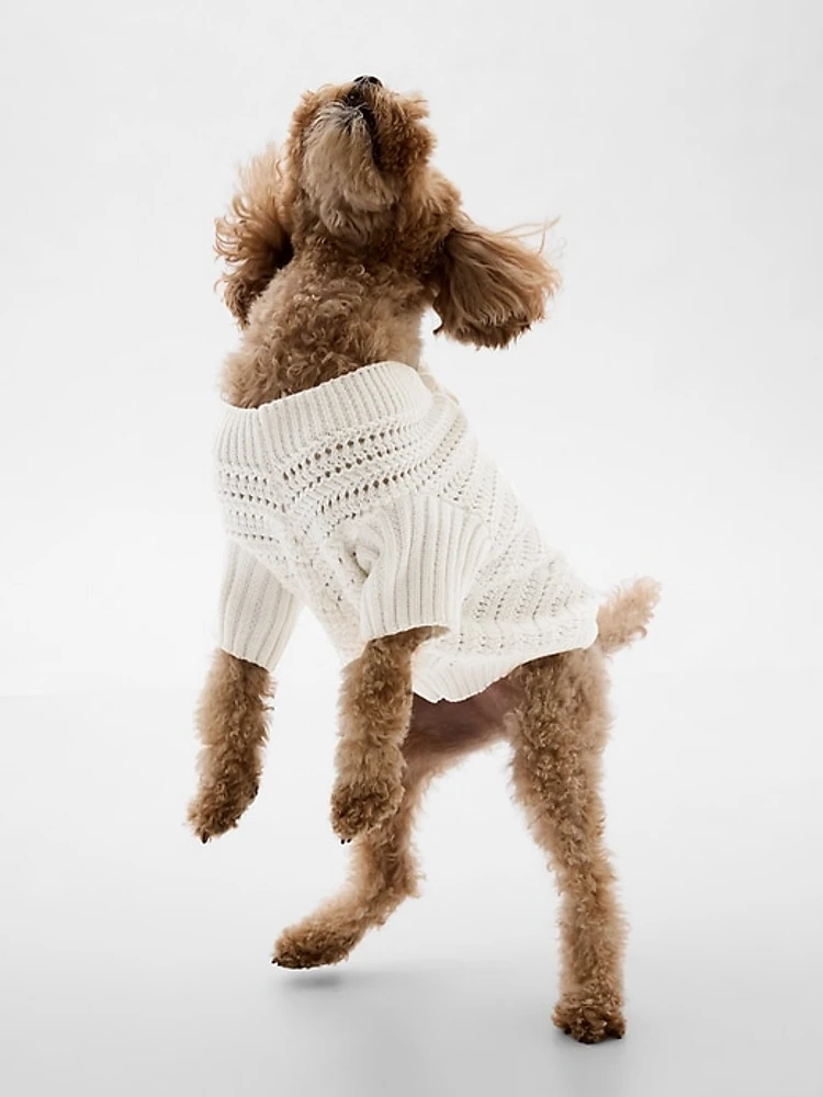 Crochet Pet Sweater