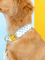 Printed Fabric Dog Collar