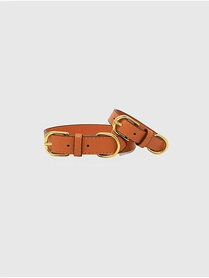 Vegan Leather Dog Collar