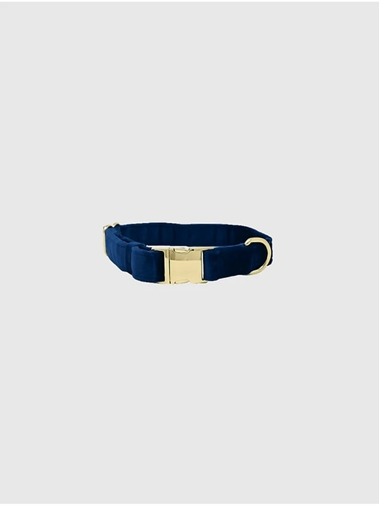 Velvet Dog Collar