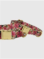 Printed Fabric Dog Collar