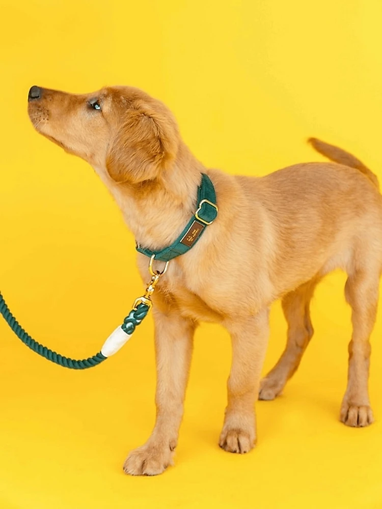 Velvet Dog Collar