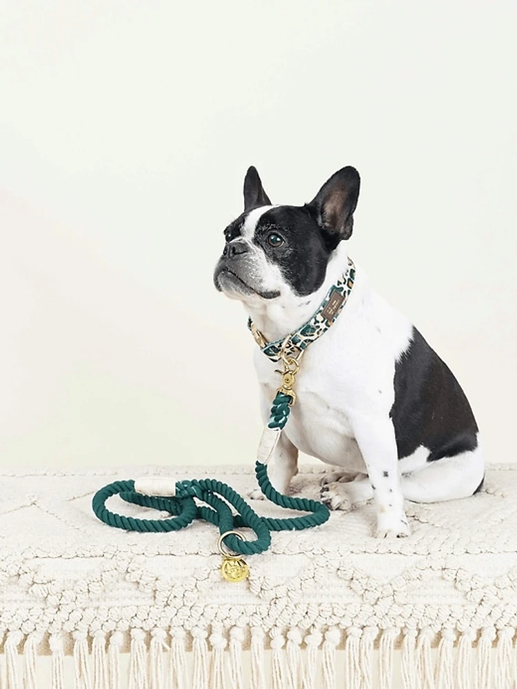 Rope Organic Cotton Dog Leash