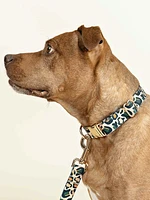 Printed Fabric Dog Collar