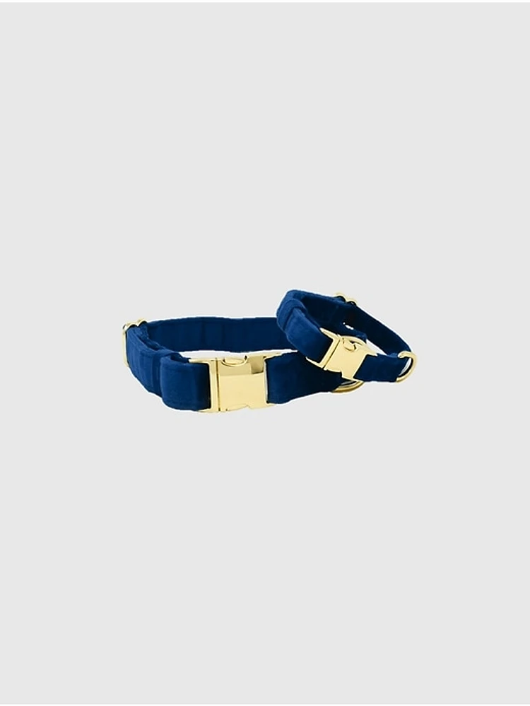 Velvet Dog Collar