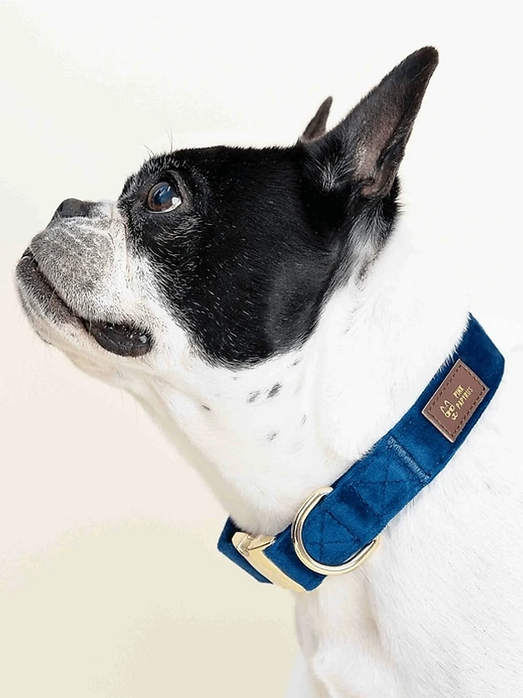 Velvet Dog Collar