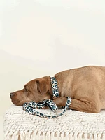 Printed Fabric Dog Leash