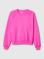 Vintage Soft Raglan Sweatshirt