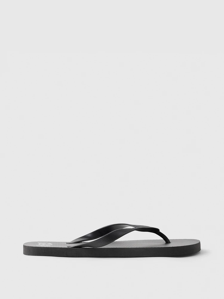 Basic Flip Flops