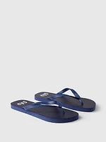 Basic Flip Flops