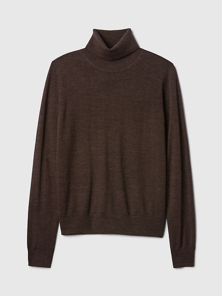 Merino Turtleneck Sweater